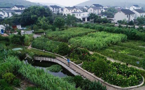 常見污水治理方法有哪些？